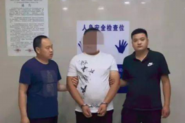 破产公司追讨债务：策略、法律途径与案例分析