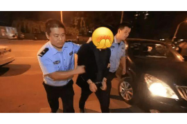 银行逾期贷款催收报告