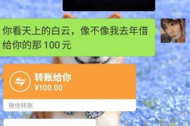 苏宁催收投诉哪里——解析您的权益与途径