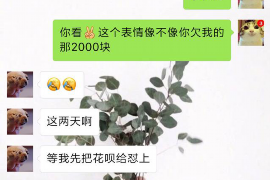求职讨债17万：揭秘职场中的债务困境与应对策略