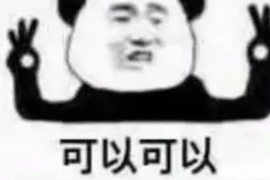 小河清数公司排名前十名：揭秘行业领军者
