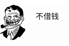 龙禧星的催收：探索背后的故事与解决方案