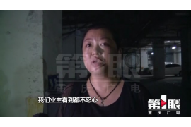 标题：追讨债务实施绑架：法律边界与道德拷问