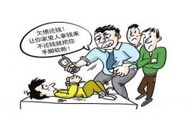 秦安清数公司联系方式