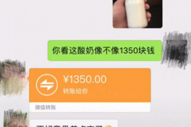 催收发紧急提醒短信：揭秘金融行业的风险预警与客户服务