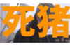 银行公告催收的流程