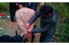 **自如退房催收怎么办理**